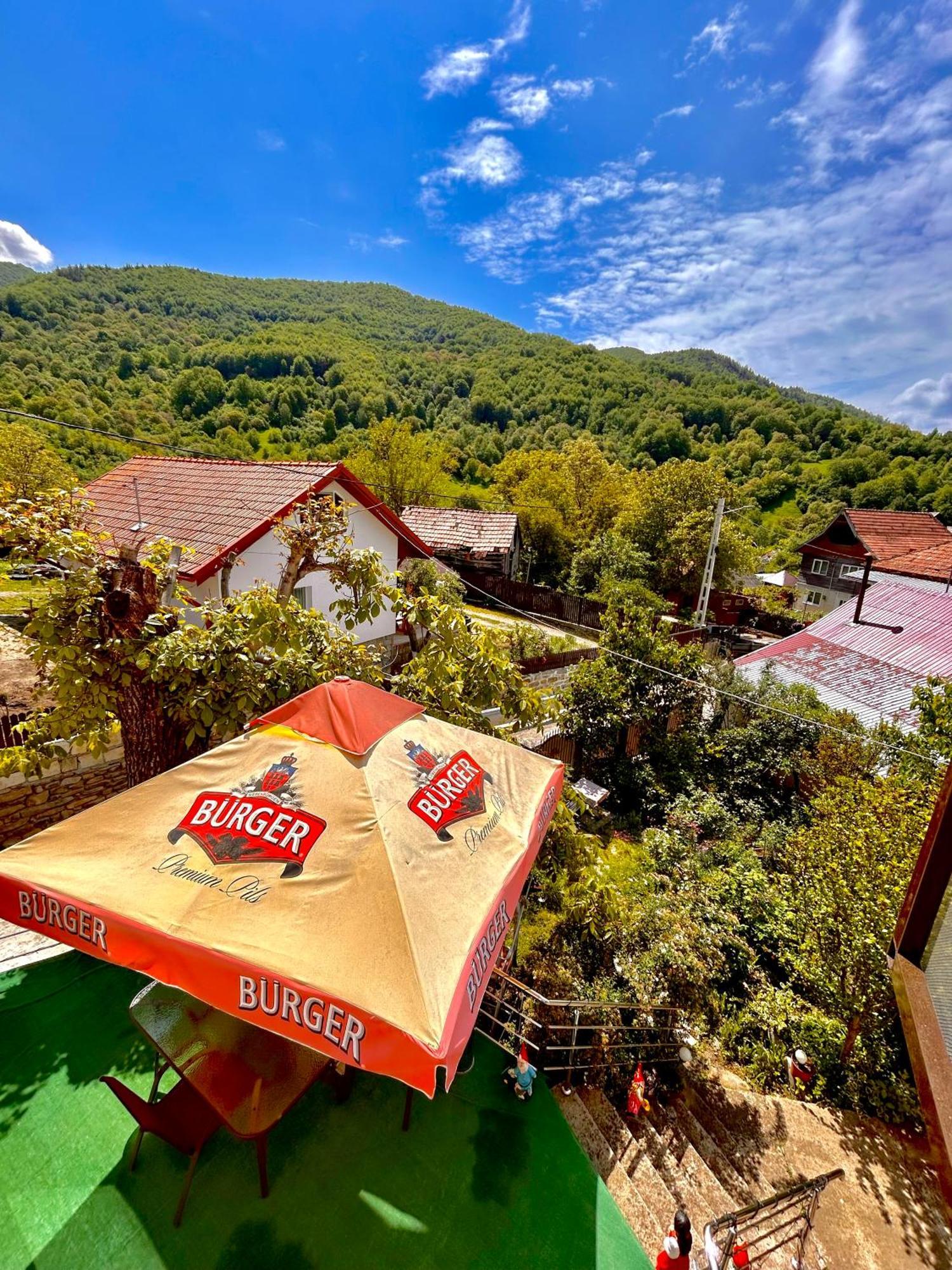 Casa Camelia Villa Nehoiu Exterior photo